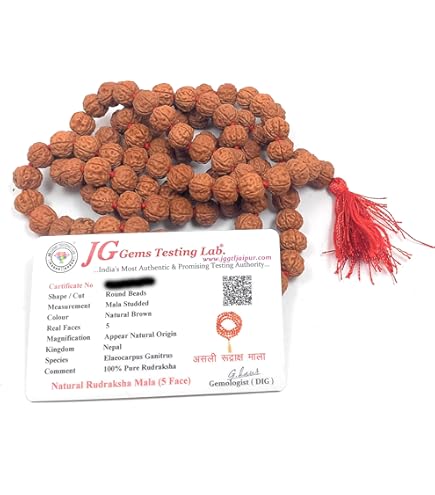 じゃすみん☆　ルドラクシャマーラー　トップ10ムキ ルドラクシャの面(ムキ)の説明※ | Shiwa Rudraksha